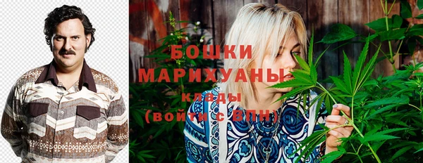 ПСИЛОЦИБИНОВЫЕ ГРИБЫ Верхний Тагил