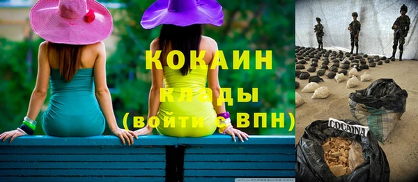 спиды Бородино