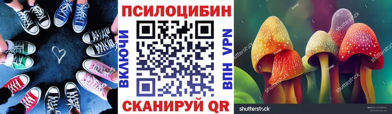 сколько стоит  Вятские Поляны  мега ONION  Псилоцибиновые грибы Psilocybine cubensis 